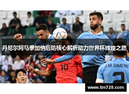 丹尼尔阿马泰加纳后防核心解析助力世界杯辉煌之路