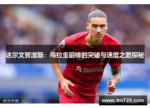 达尔文努涅斯：乌拉圭前锋的突破与速度之路探秘