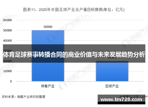 体育足球赛事转播合同的商业价值与未来发展趋势分析