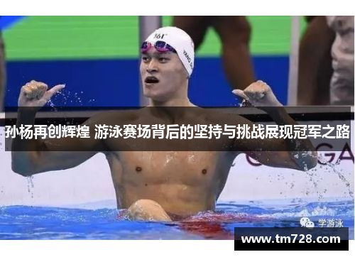 孙杨再创辉煌 游泳赛场背后的坚持与挑战展现冠军之路