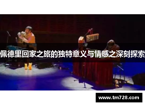 佩德里回家之旅的独特意义与情感之深刻探索