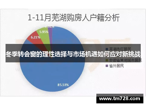 冬季转会窗的理性选择与市场机遇如何应对新挑战