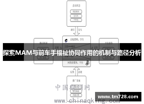 探索MAM与前车手福祉协同作用的机制与路径分析
